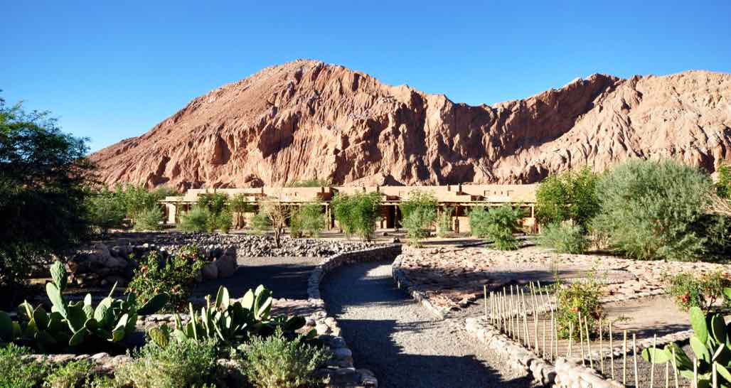 Alto Atacama - vegetable garden