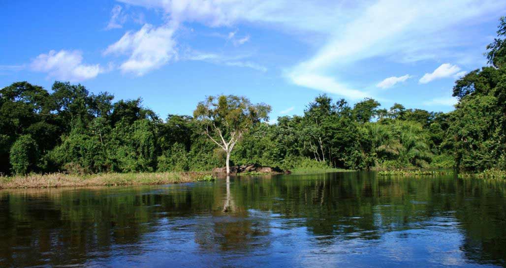 Brazil - Pantanal wetlands