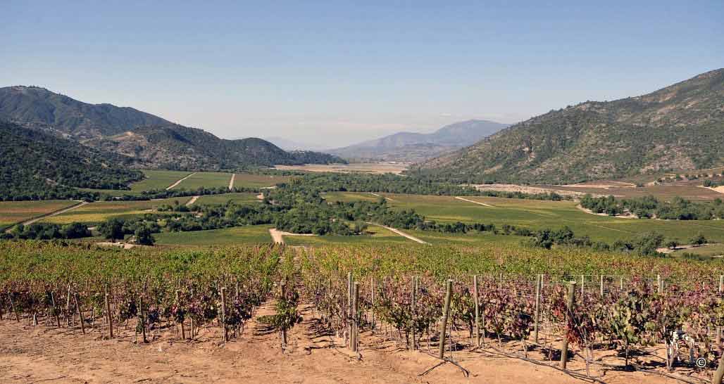 Colchagua Valley
