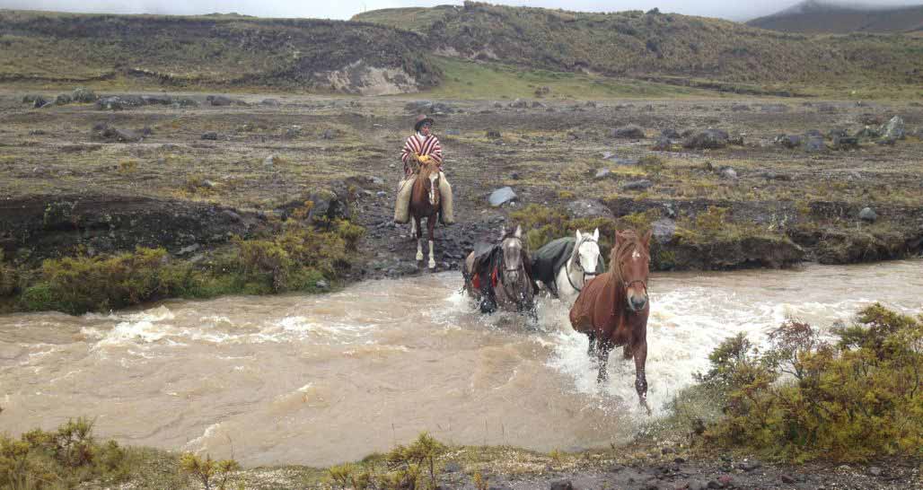 Horse riding - Hacienda La Alegria