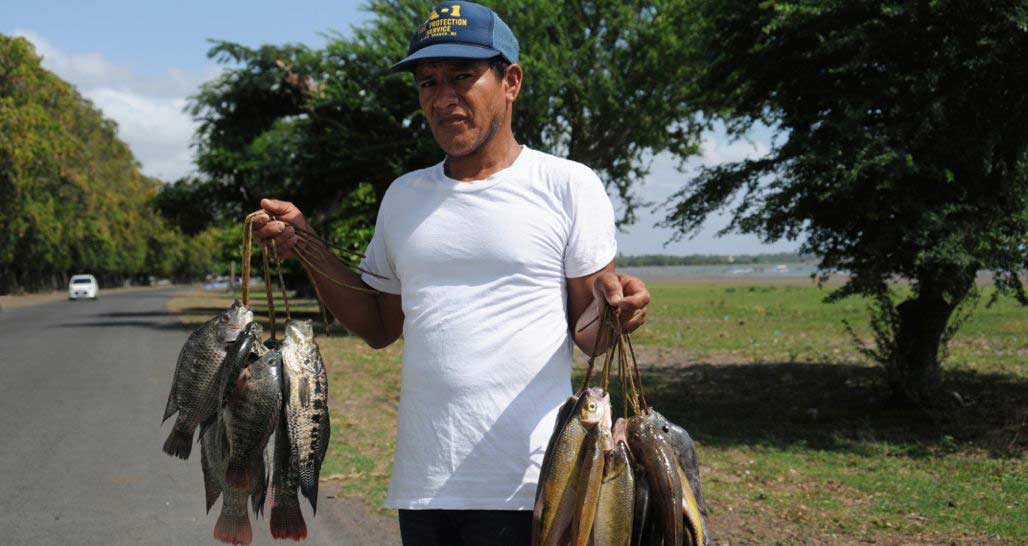 Fisherman's Catch, Lake Nicaragua