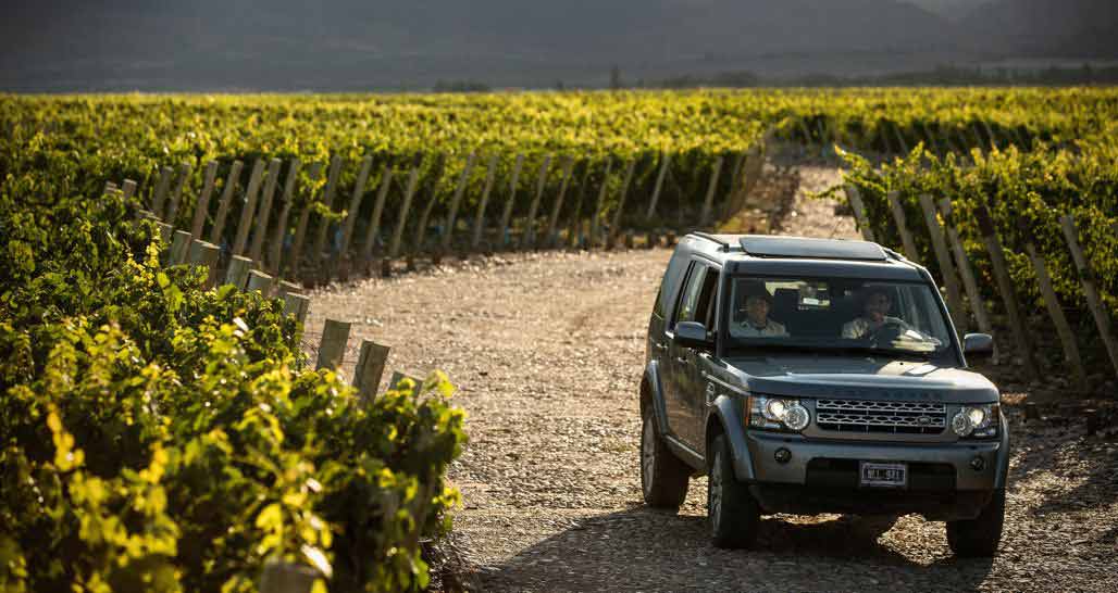 The Vines Resort & Spa, Mendoza